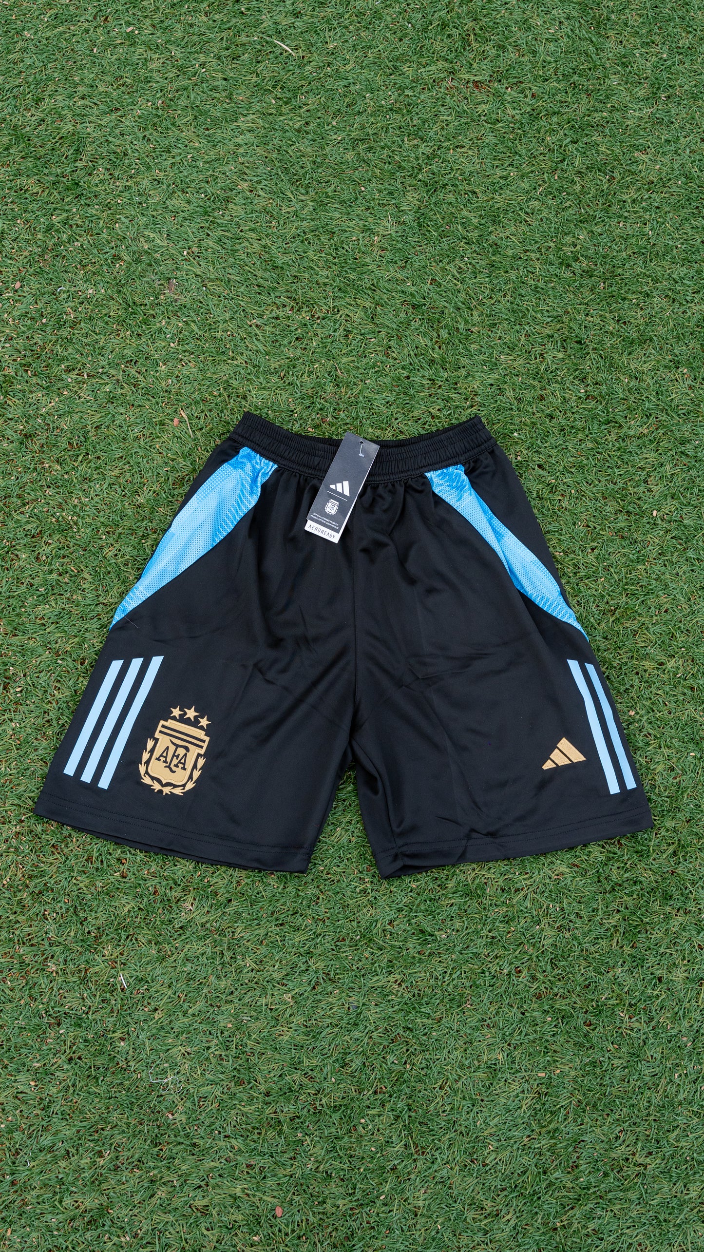 Argentina Training 2024