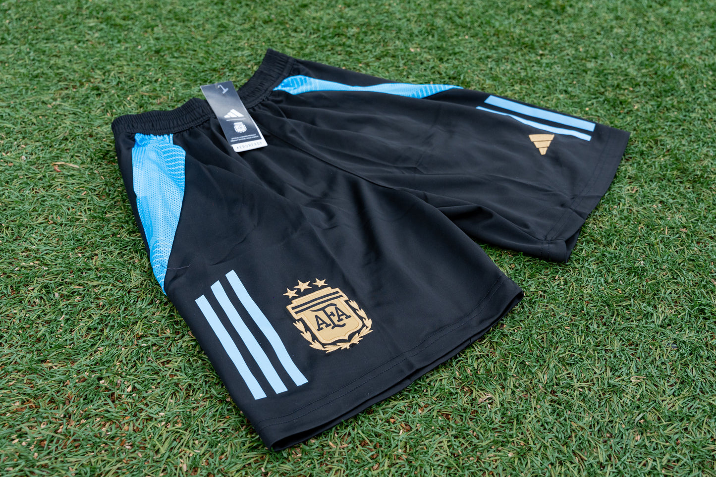 Argentina Training 2024