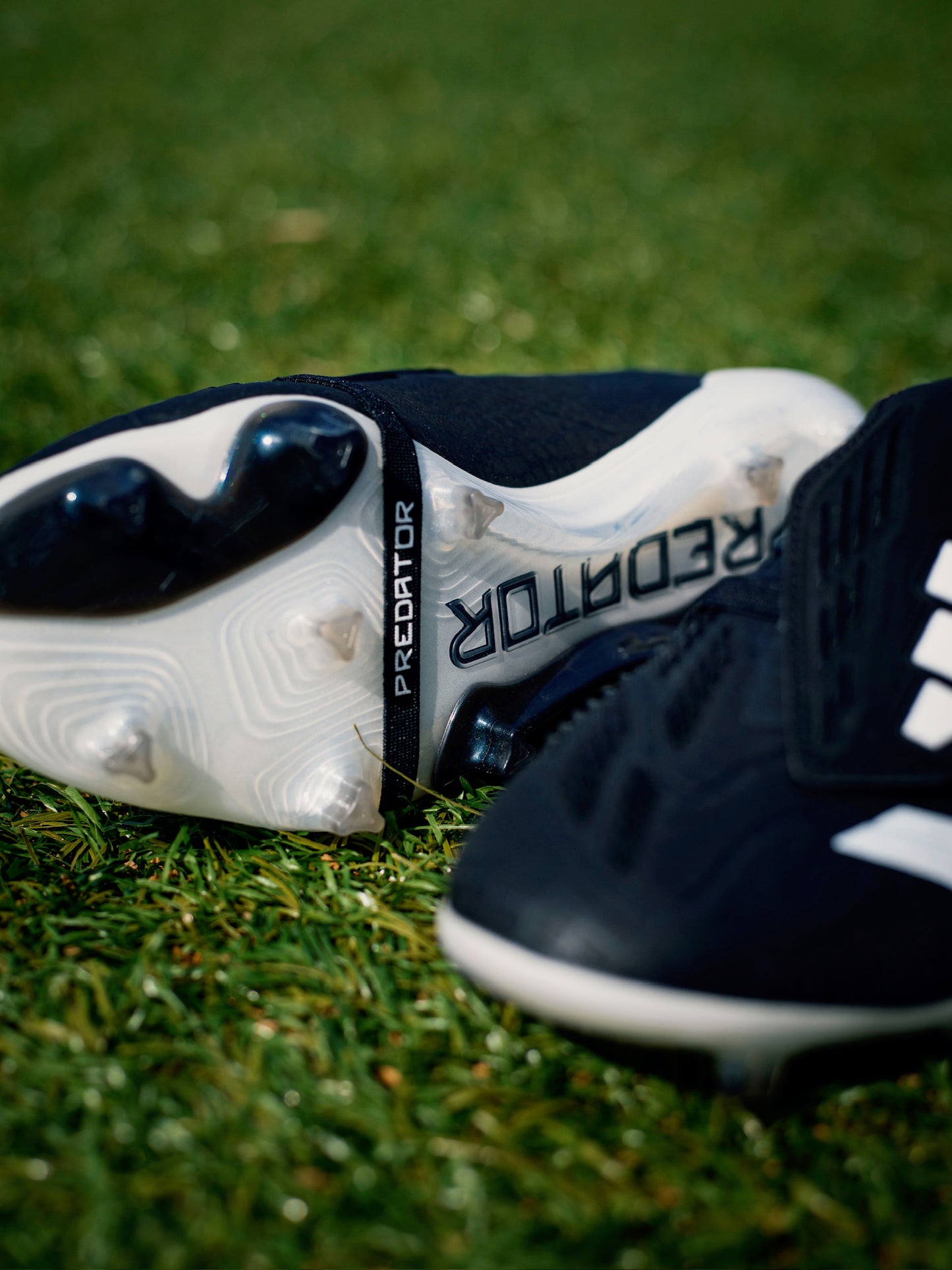 Adidas Predator Elite
